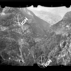 Staz. 52 - Bellunese - Monte Pelf - - LN00016809
