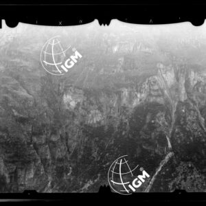 Staz. 53 - Bellunese - Monte Pelf - - LN00016810