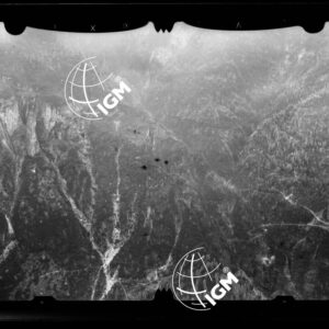 Staz. 53 - Bellunese - Monte Pelf - - LN00016811