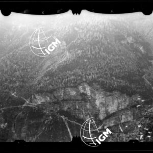 Staz. 53 - Bellunese - Monte Pelf - - LN00016812