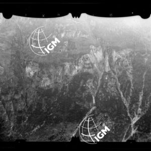 Staz. 53 - Bellunese - Monte Pelf - - LN00016813