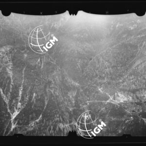 Staz. 53 - Bellunese - Monte Pelf - - LN00016814