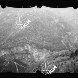 Staz. 53 - Bellunese - Monte Pelf - - LN00016815