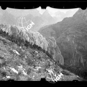 Staz. 54 - Bellunese - Monte Pelf - - LN00016816