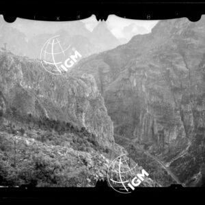 Staz. 54 - Bellunese - Monte Pelf - - LN00016818