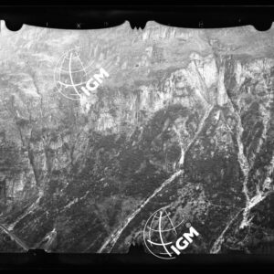 Staz. 54 - Bellunese - Monte Pelf - - LN00016819