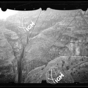 Staz. 55 - Bellunese - Monte Pelf - - LN00016821