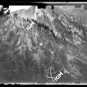 Staz. 57 - Bellunese - Monte Pelf - - LN00016826