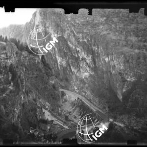 Staz. 57 - Bellunese - Monte Pelf - - LN00016830