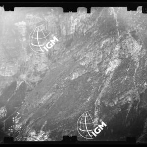 Staz. 58 - Bellunese - Monte Pelf - - LN00016834