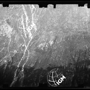 Staz. 58 - Bellunese - Monte Pelf - - LN00016835