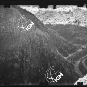 Staz. 58 - Bellunese - Monte Pelf - - LN00016836