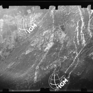 Staz. 58 - Bellunese - Monte Pelf - - LN00016837