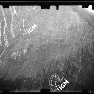 Staz. 58 - Bellunese - Monte Pelf - - LN00016838