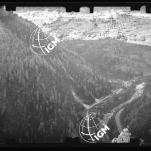 Staz. 58 - Bellunese - Monte Pelf - - LN00016839
