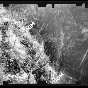 Staz. 59 - Bellunese - Gosaldo - - LN00016840