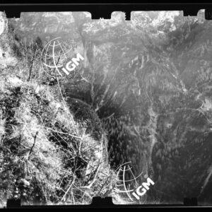Staz. 59 - Bellunese - Gosaldo - - LN00016841