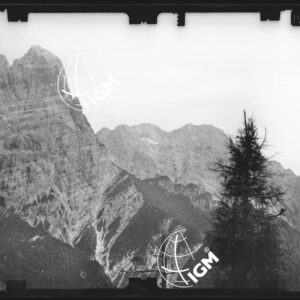 Staz. 3 - Bellunese - Monte Pelf - - LN00016861