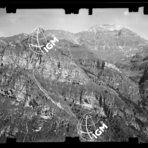 Staz. 6 - Bellunese - Monte Cors - - LN00016871