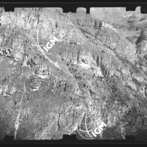 Staz. 6 - Bellunese - Monte Cors - - LN00016872