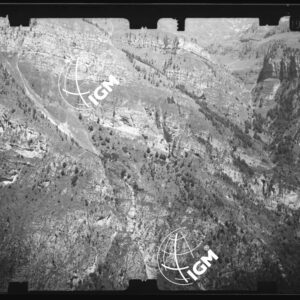Staz. 6 - Bellunese - Monte Cors - - LN00016875