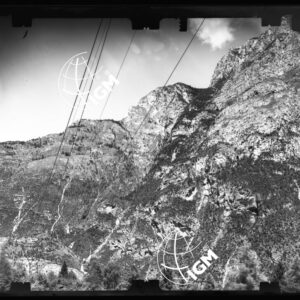 Staz. 7 - Bellunese - Monte Pelf - - LN00016876