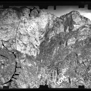 Staz. 7 - Bellunese - Monte Pelf - - LN00016877