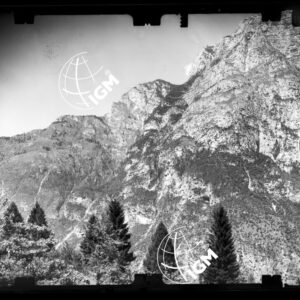 Staz. 7 - Bellunese - Monte Pelf - - LN00016879