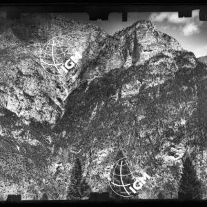 Staz. 7 - Bellunese - Monte Pelf - - LN00016880