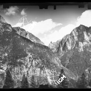 Staz. 7 - Bellunese - Monte Pelf - - LN00016881