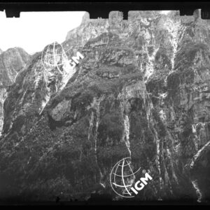 Staz. 9 - Bellunese - Monte Pelf - - LN00016883