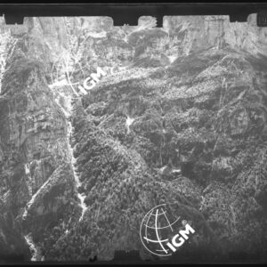 Staz. 9 - Bellunese - Monte Pelf - - LN00016885