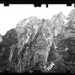 Staz. 9 - Bellunese - Monte Pelf - - LN00016887