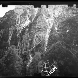 Staz. 9 - Bellunese - Monte Pelf - - LN00016888