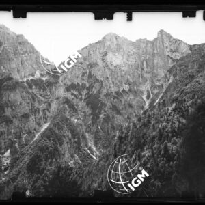 Staz. 9 - Bellunese - Monte Pelf - - LN00016890