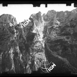 Staz. 10 - Bellunese - Monte Pelf da Col Pizzon - - LN00016893