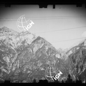 Staz. 12 - Bellunese - Monte Pelf  - - LN00016904