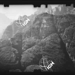 Staz. 14 - Bellunese - Monte Pelf  - - LN00016913