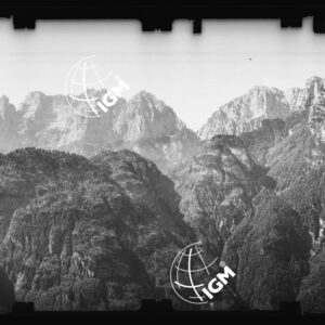 Staz. 14 - Bellunese - Monte Pelf  - - LN00016915
