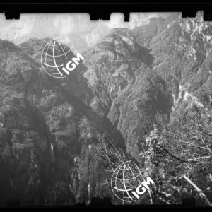 Staz. 14 - Bellunese - Monte Pelf  - - LN00016917