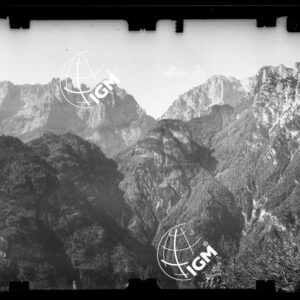 Staz. 14 - Bellunese - Monte Pelf  - - LN00016918