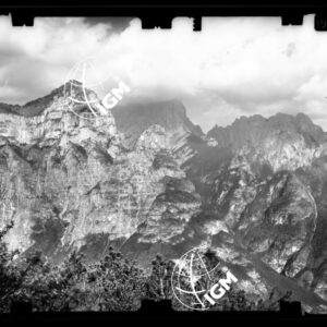 Staz. 15 - Bellunese - Monte Pelf  - - LN00016921