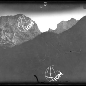 Staz. 16 - Bellunese - Monte Pelf  - - LN00016924