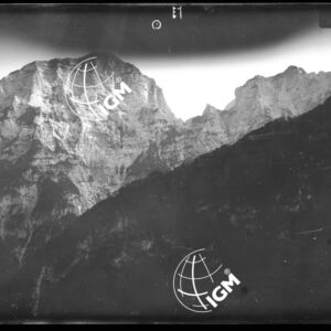 Staz. 16 - Bellunese - Monte Pelf  - - LN00016927