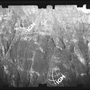 Staz. 17 - Bellunese - Monte Pelf  - - LN00016930