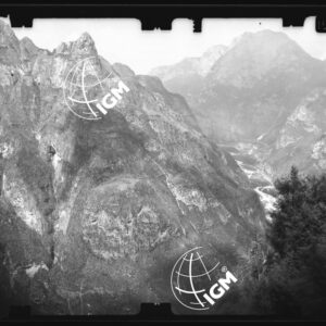 Staz. 17 - Bellunese - Monte Pelf  - - LN00016931