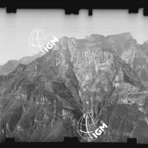 Staz. 17 - Bellunese - Monte Pelf  - - LN00016932