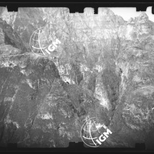 Staz. 17 - Bellunese - Monte Pelf  - - LN00016933