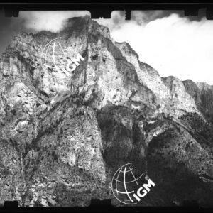 Staz. 23 - Bellunese - Monte Pelf - - LN00016979