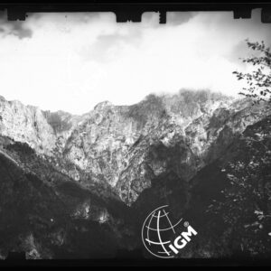 Staz. 23 - Bellunese - Monte Pelf - - LN00016980